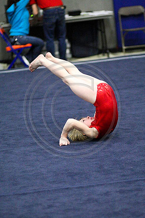 TAZ28329