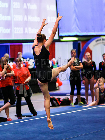 HSM_0734