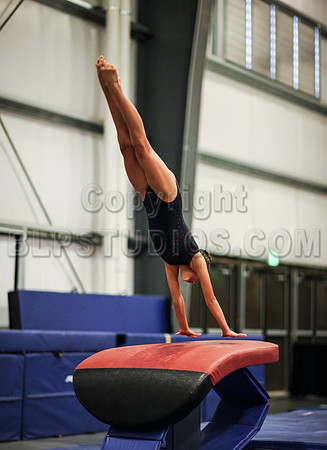 HSM_0194