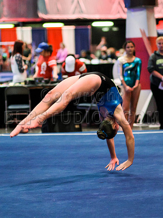 HSM_0929