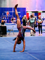 HSM_0042