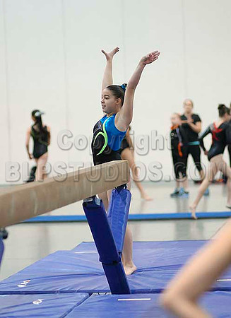 HSM_4734