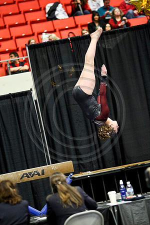TAZ20095