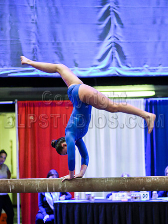 HSM_0558