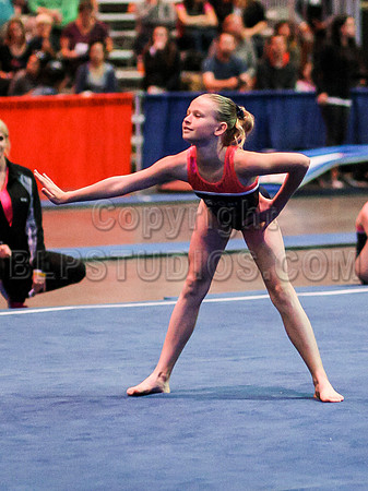 HSM_1628