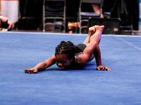 HSM_0084