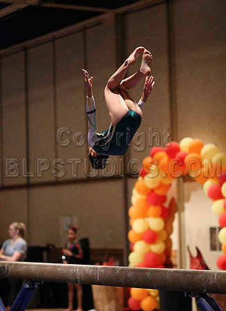 HSM_0385