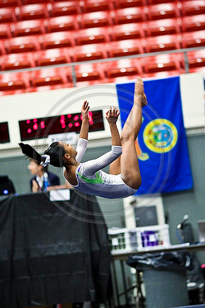 TAZ22215