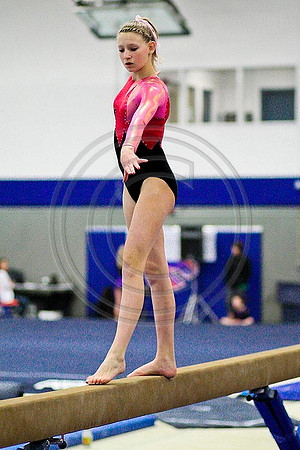 TAZ20101