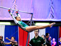 HSM_1446