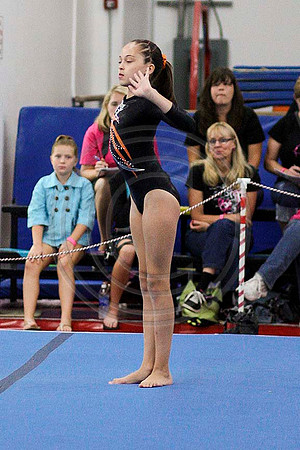 TAZ11502