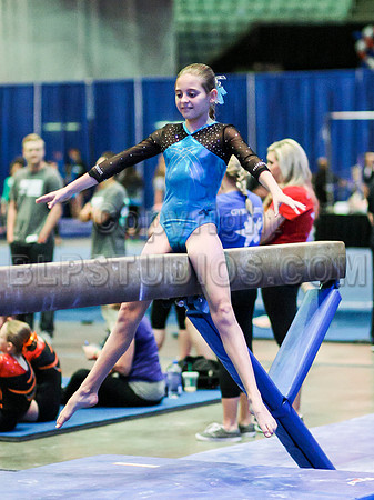 HSM_0237