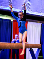 HSM_4335
