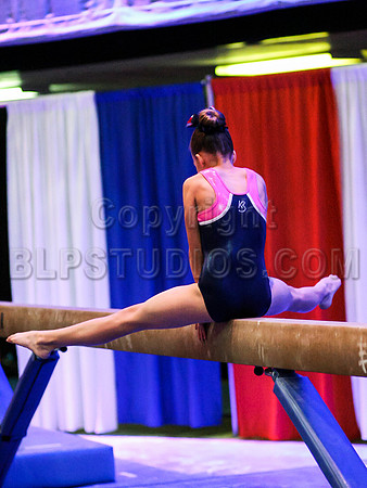 HSM_1212