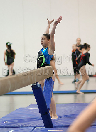 HSM_4733