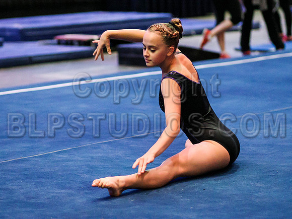 HSM_0711