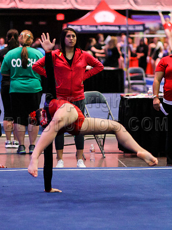 HSM_0281