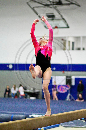 TAZ20104