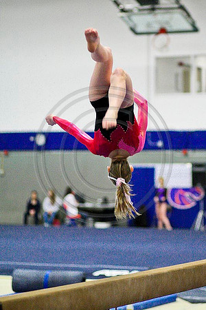 TAZ20106
