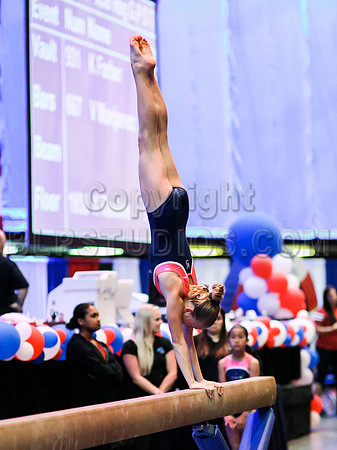 HSM_1318