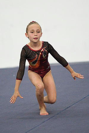 TAZ25550