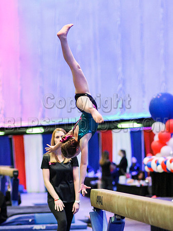 HSM_1328