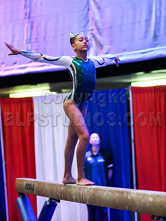 HSM_2106