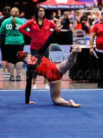 HSM_0283