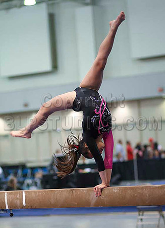 HSM_3538