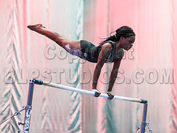 HSM_0707