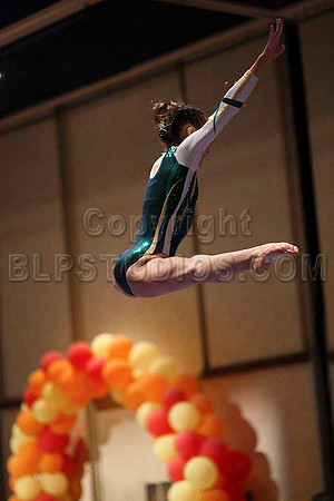 HSM_0375