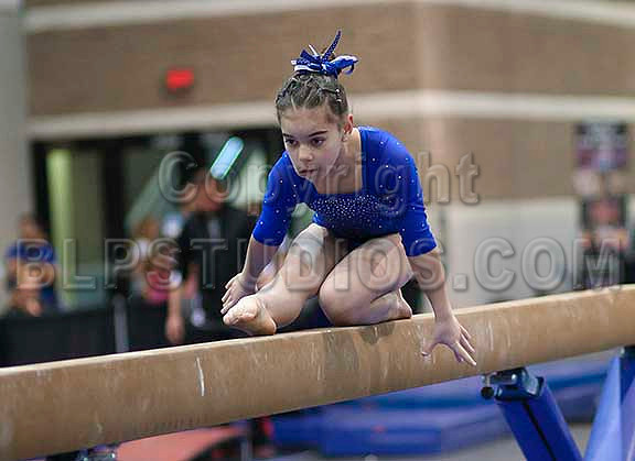 HSM_1736