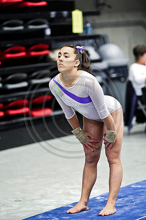 TAZ20665