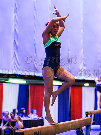 HSM_3329