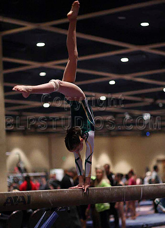 HSM_0261