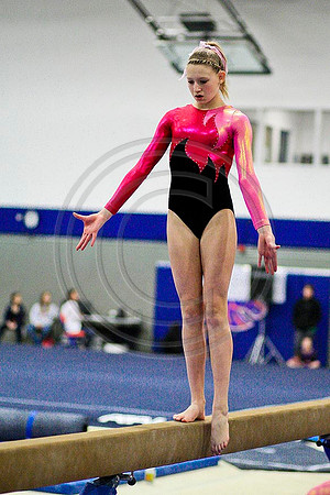 TAZ20095
