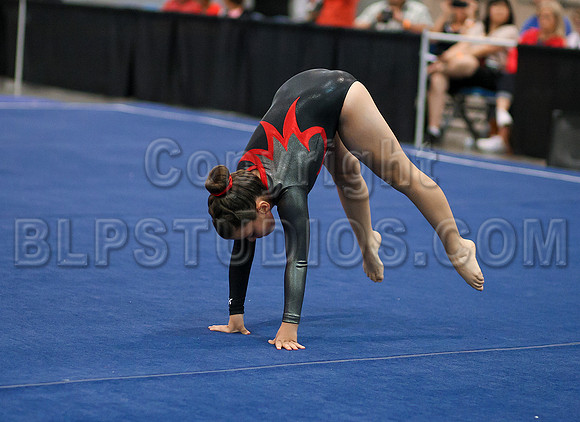 HSM_1414