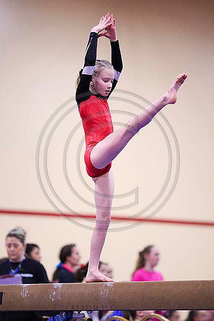TAZ20881