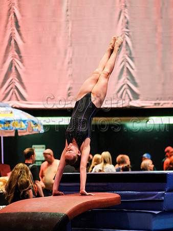 HSM_1103