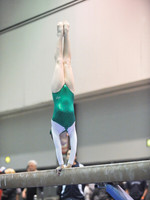 BEC_0011 (1)