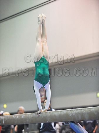 BEC_0011 (1)