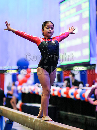 HSM_4671