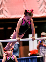 HSM_4386