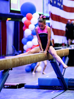 HSM_1132