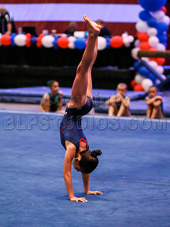 HSM_5231