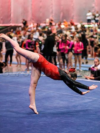 HSM_0254