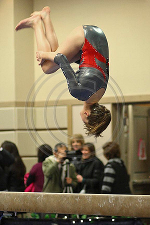 4Z3F4610