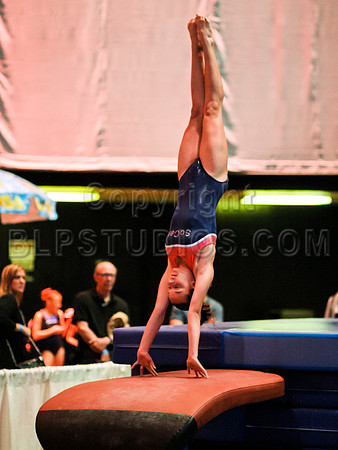 HSM_2198