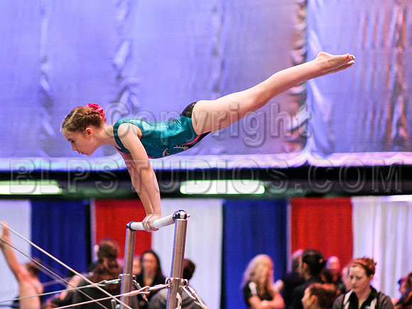 HSM_0384