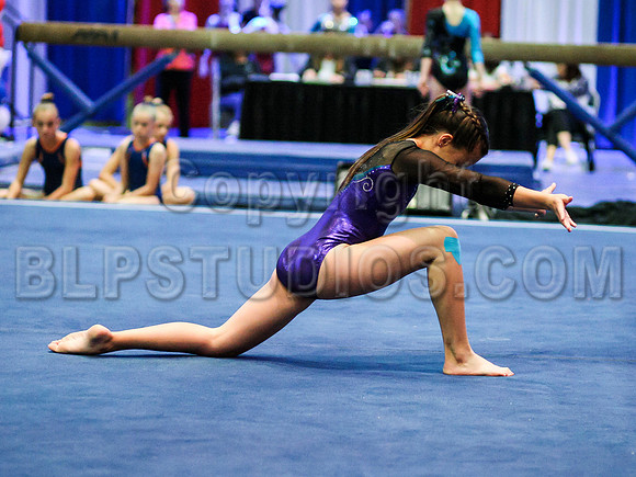 HSM_0699